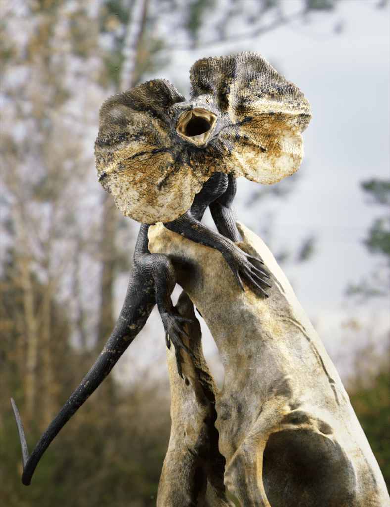 Frilled lizard ( 2021 )